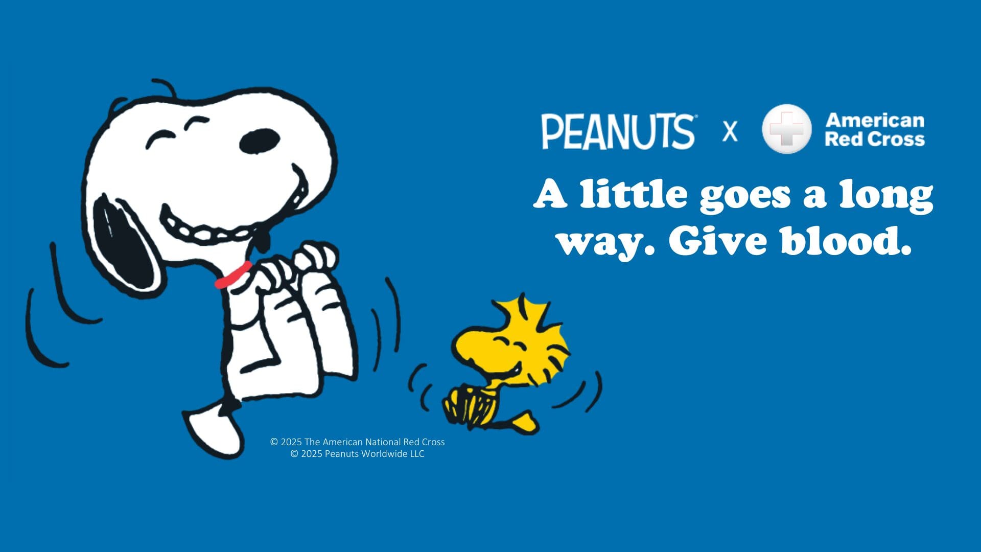 Snoopy and Woodstock promoting blood donation.